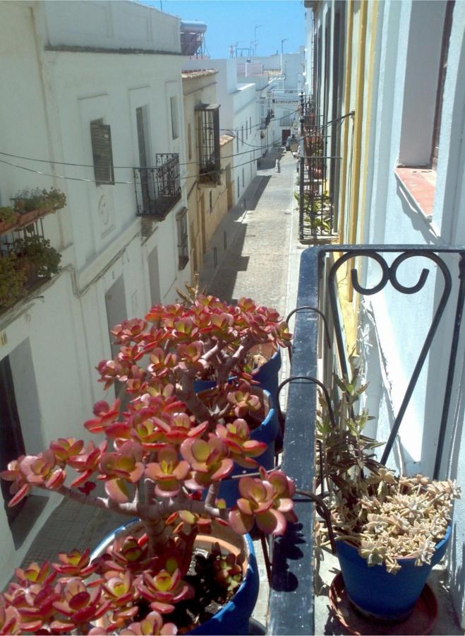 Acogedor Estudio En Casco Antiguo Lejlighed Tarifa Eksteriør billede